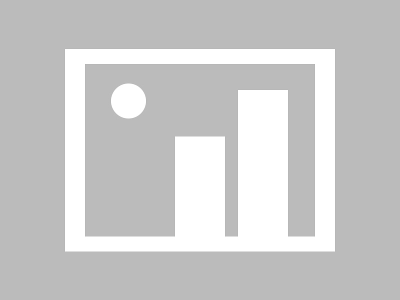 Astralis Talent 代表丹麦参加世界电子竞技锦标赛，丹麦比赛成绩